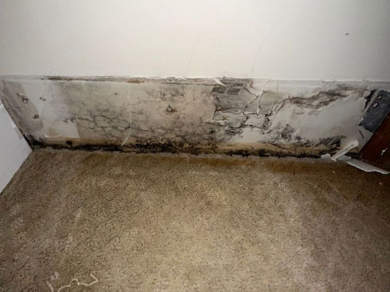 What Is The Average Cost Of Water Damage Restoration In Henderson Nv