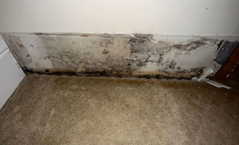 What Is The Average Cost Of Water Damage Restoration In Henderson Nv