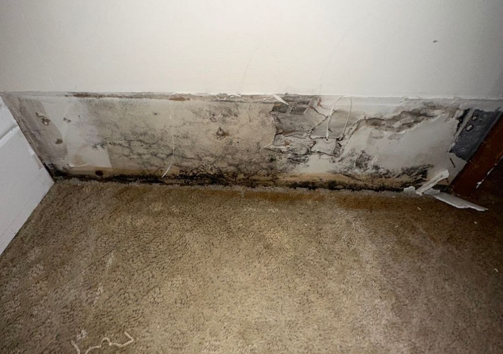 What Is The Average Cost Of Water Damage Restoration In Henderson Nv