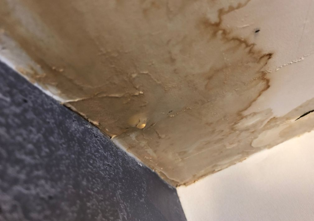 What Is The Average Cost Of Water Damage Restoration In Houston Tx