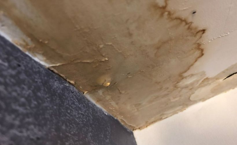 What Is The Average Cost Of Water Damage Restoration In Houston Tx