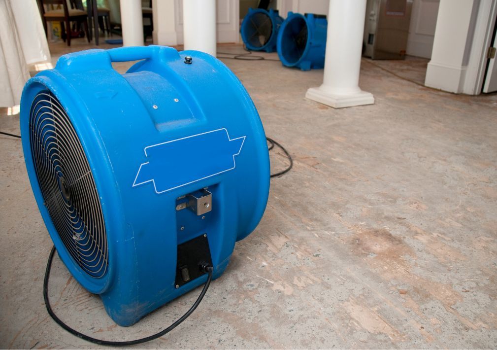 What Is The Average Cost Of Water Damage Restoration In Pearland Tx