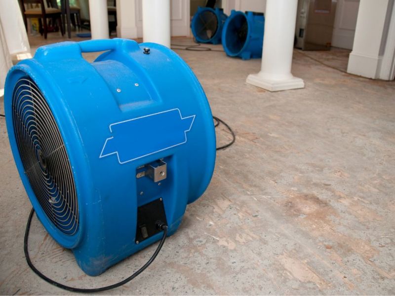 What Is The Average Cost Of Water Damage Restoration In Pearland Tx