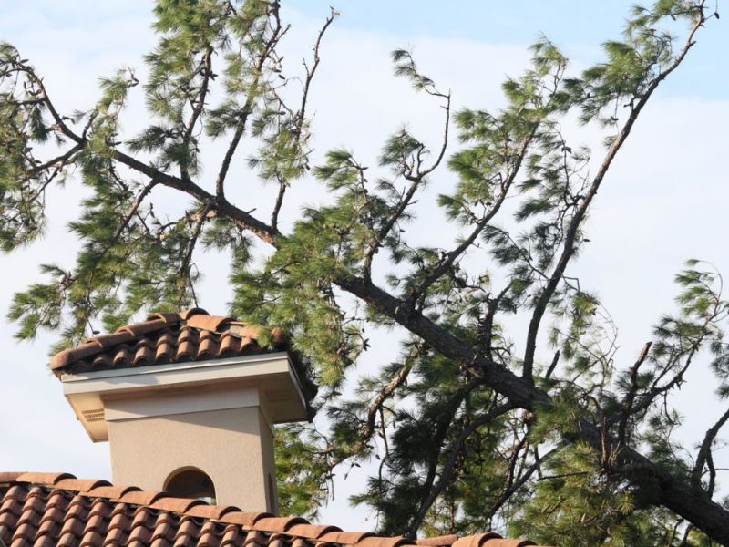What Is The Average Cost Of Storm Damage Restoration In Sunnyvale Tx