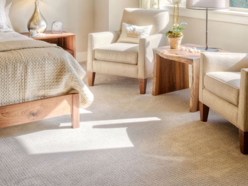 What Is The Average Cost Of Carpet Cleaning In Sienna Tx
