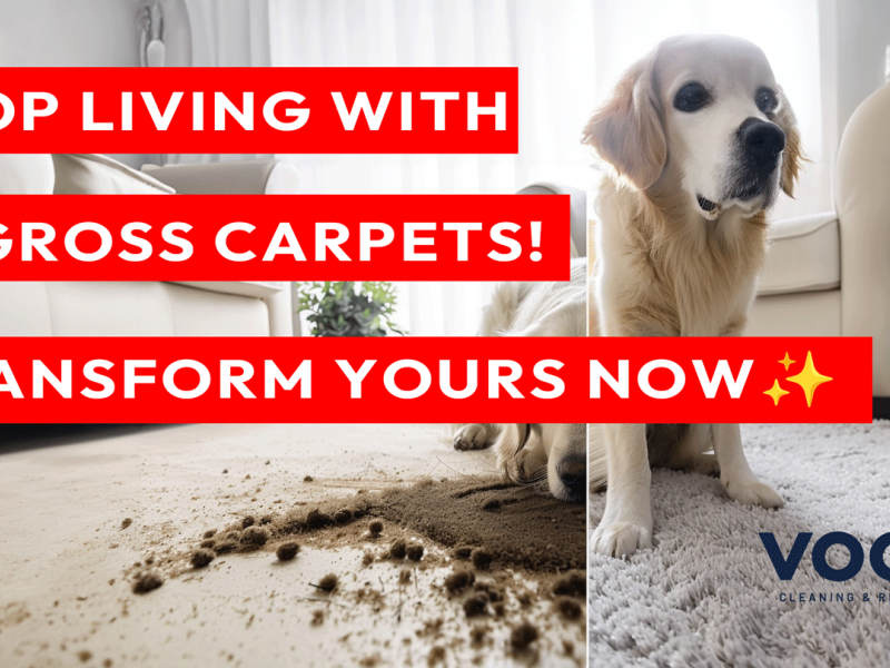 Carpet Clean