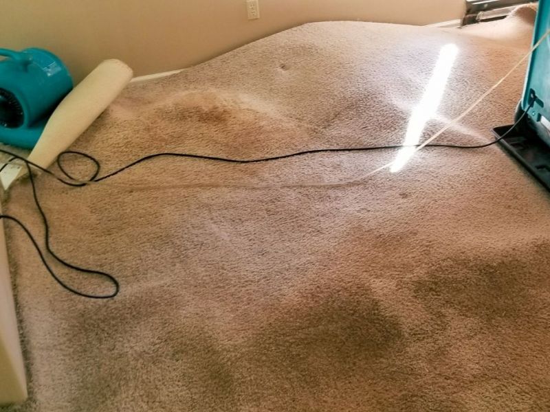 What Is The Average Cost Of Water Damage Restoration In Missouri City