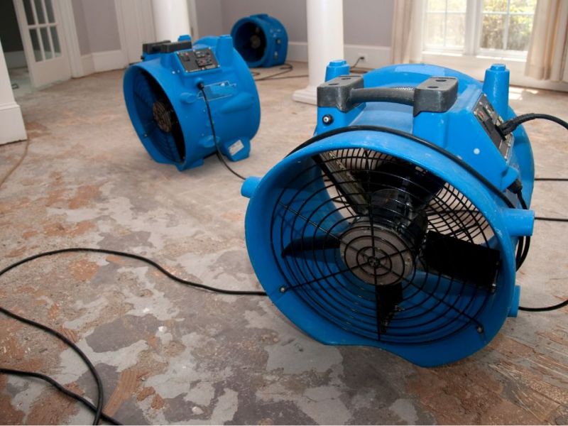 What Is The Average Cost Of Water Damage Restoration In Sugarland Tx