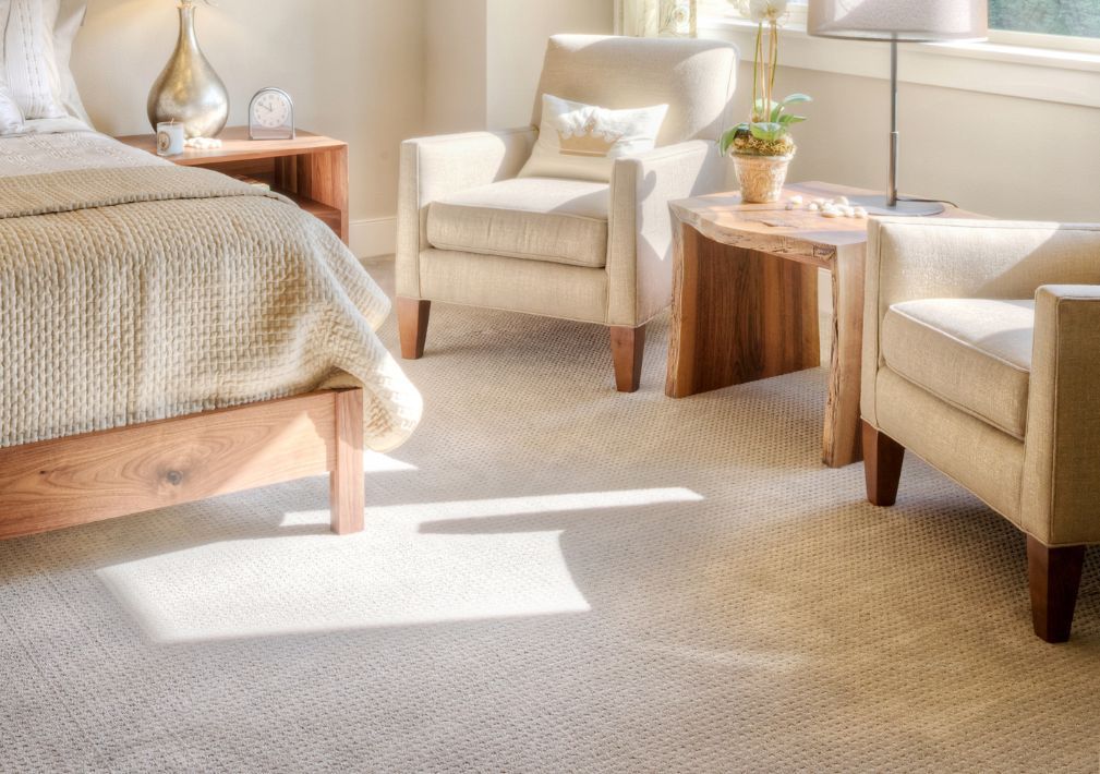 What Is The Average Cost Of Carpet Cleaning In Sienna Tx