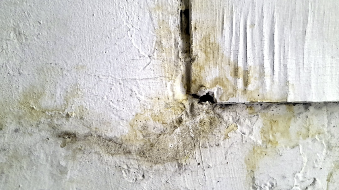  mold damage from flooded home