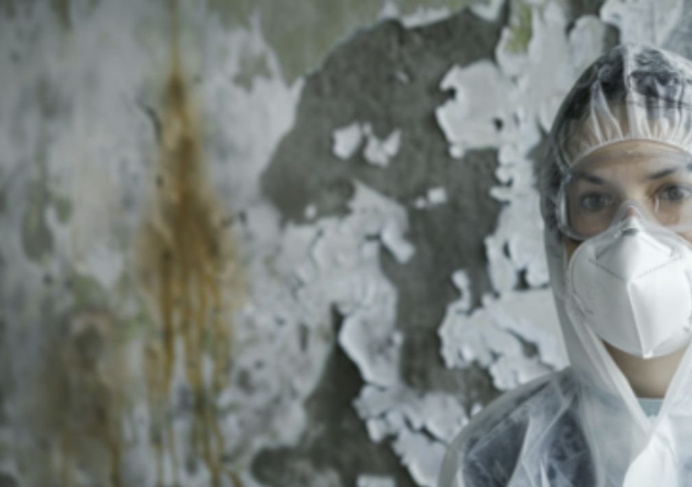 image of person with mask and googles on in front of moldy wall