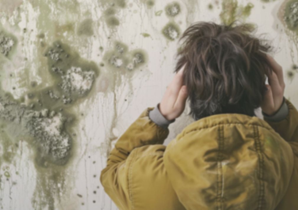 man in front of moldy wall with hands on head.
