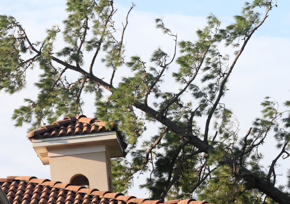What Is The Average Cost Of Storm Damage Restoration In Sunnyvale Tx