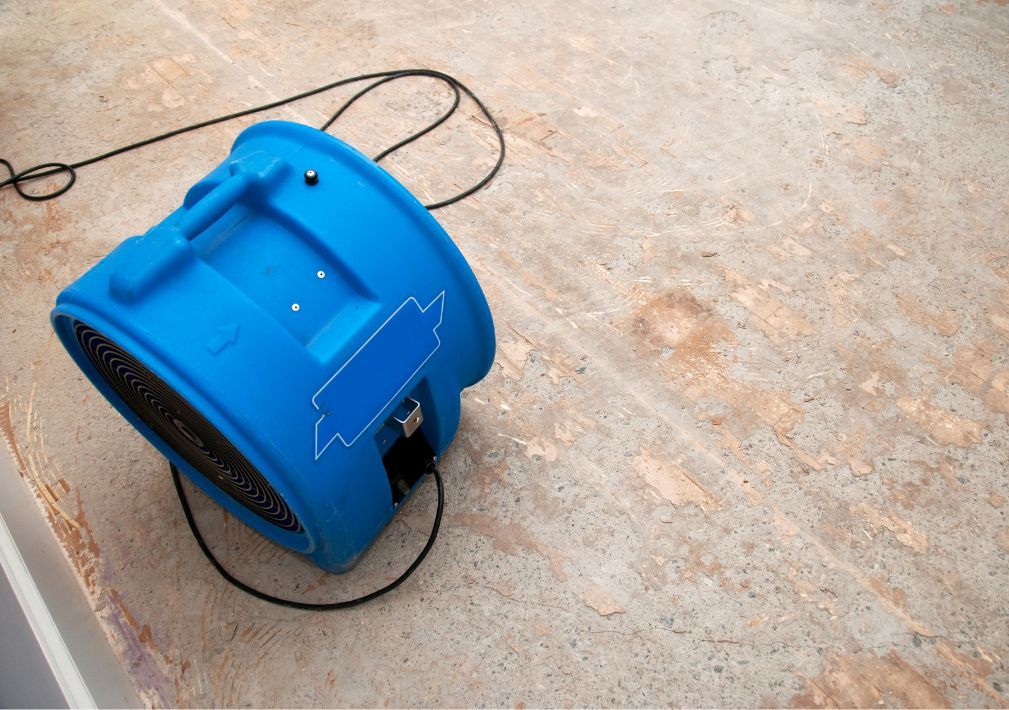 What Is The Average Cost Of Water Damage Restoration In River Oaks Tx