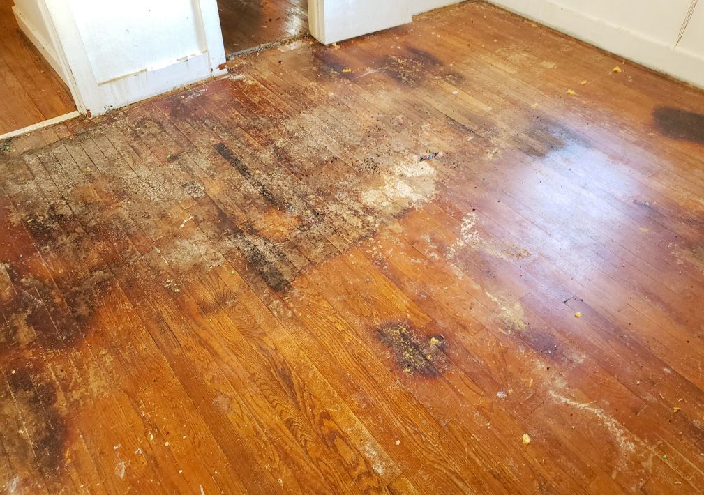 What Is The Average Cost Of Water Damage Restoration In Montrose Tx
