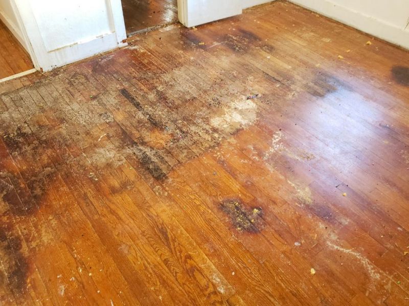 What Is The Average Cost Of Water Damage Restoration In Montrose Tx