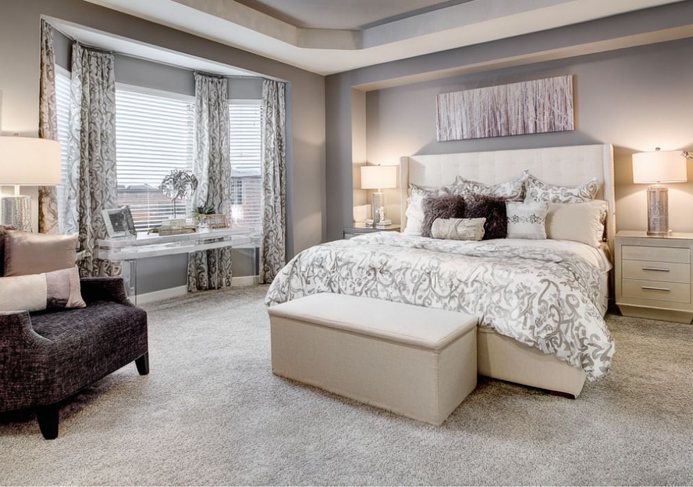 What Is The Average Cost Of Carpet Cleaning In Orange Park Fl