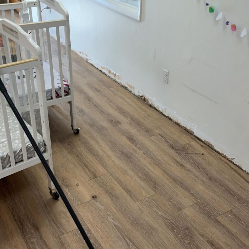 Commercial Water Damage Mitigation Belleville