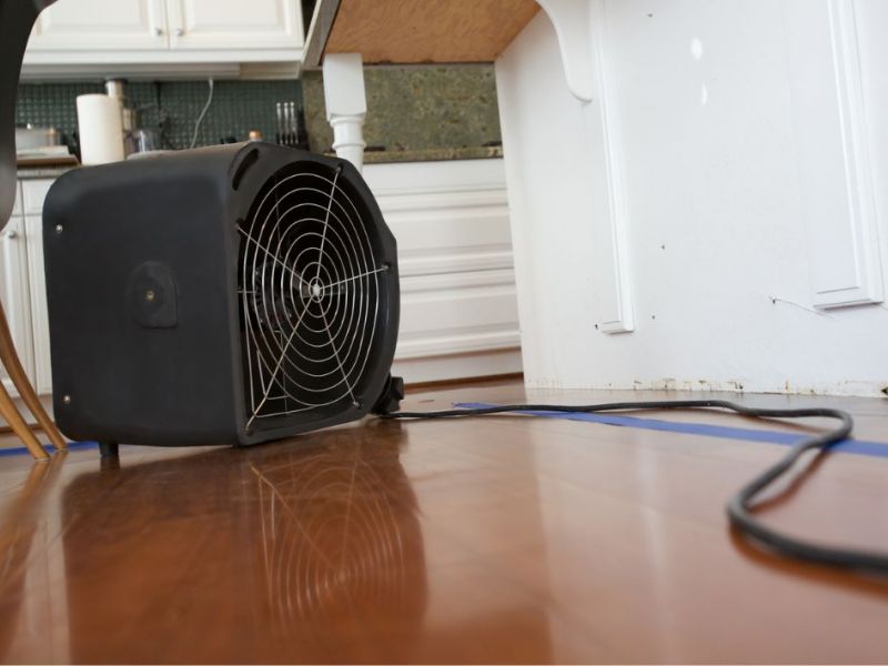 What Are The Top Signs Of Water Damage In Toms River