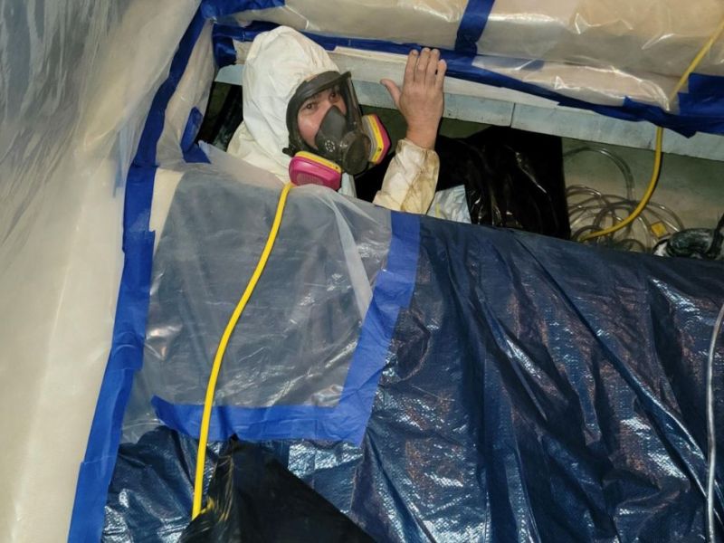 What Is The Average Cost Of Mold Remediation In Neptune Nj