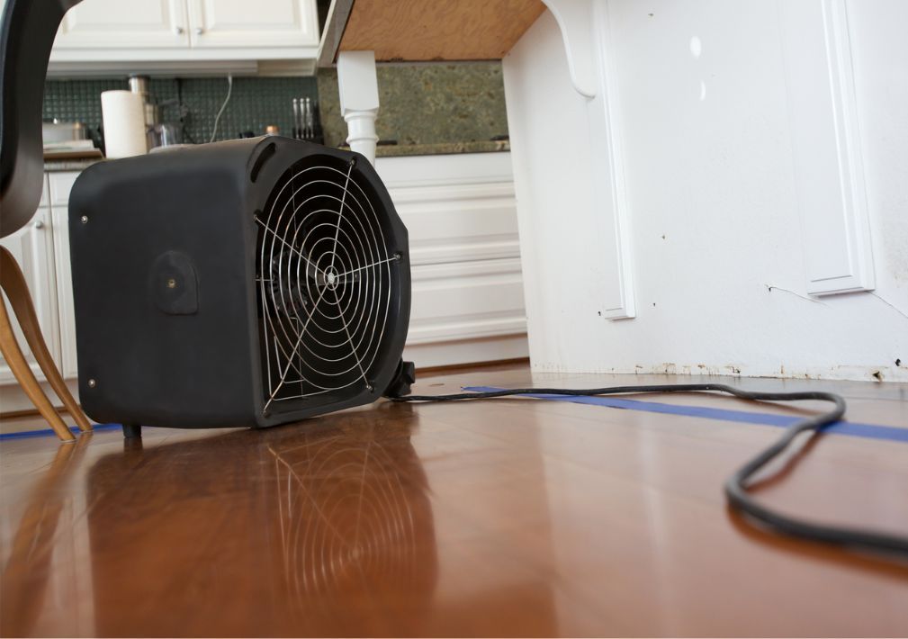 What Are The Top Signs Of Water Damage In Toms River