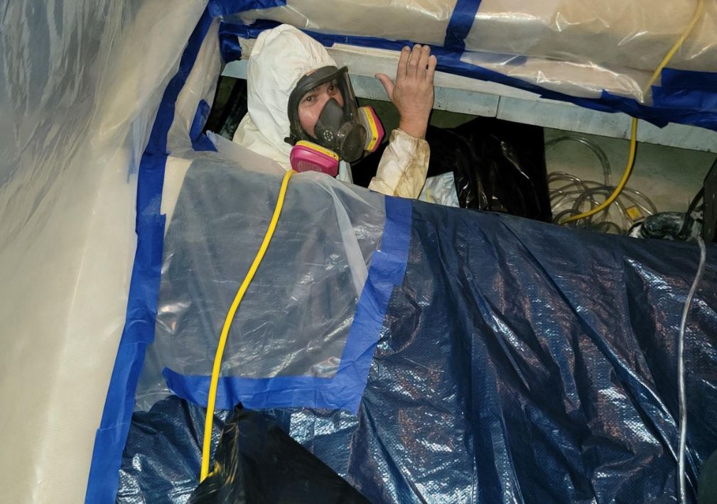 What Is The Average Cost Of Mold Remediation In Neptune Nj