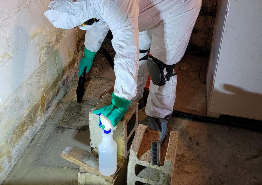 What Is The Average Cost Of Water Damage Restoration In Asbury Park Nj