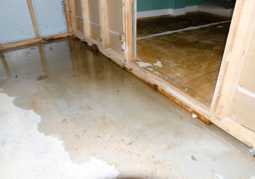 What Is The Average Cost Of Water Damage Restoration In Bonner Springs Ks