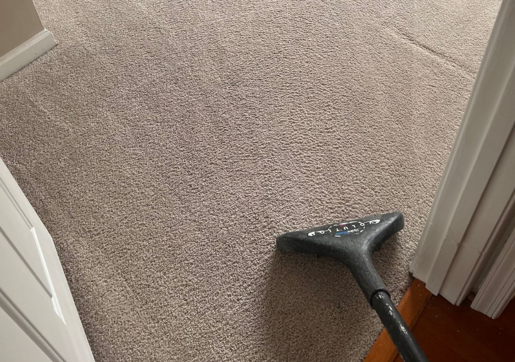 What Is The Average Cost Of Carpet Cleaning In Grand Haven Mi