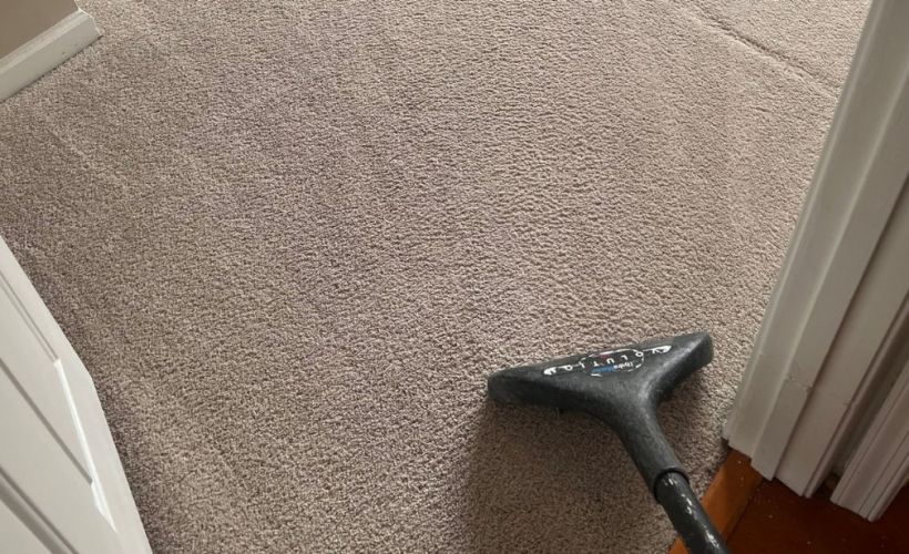What Is The Average Cost Of Carpet Cleaning In Grand Haven Mi