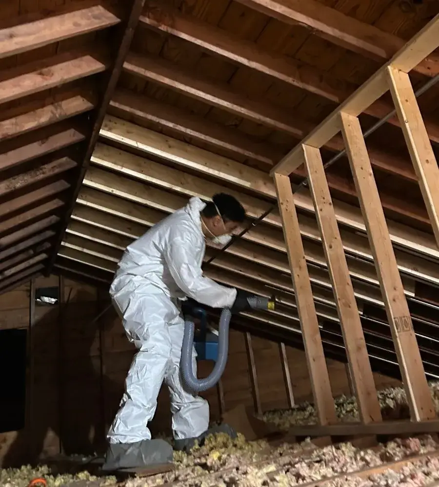 Attic Mold Removal and Remediation Specialists
