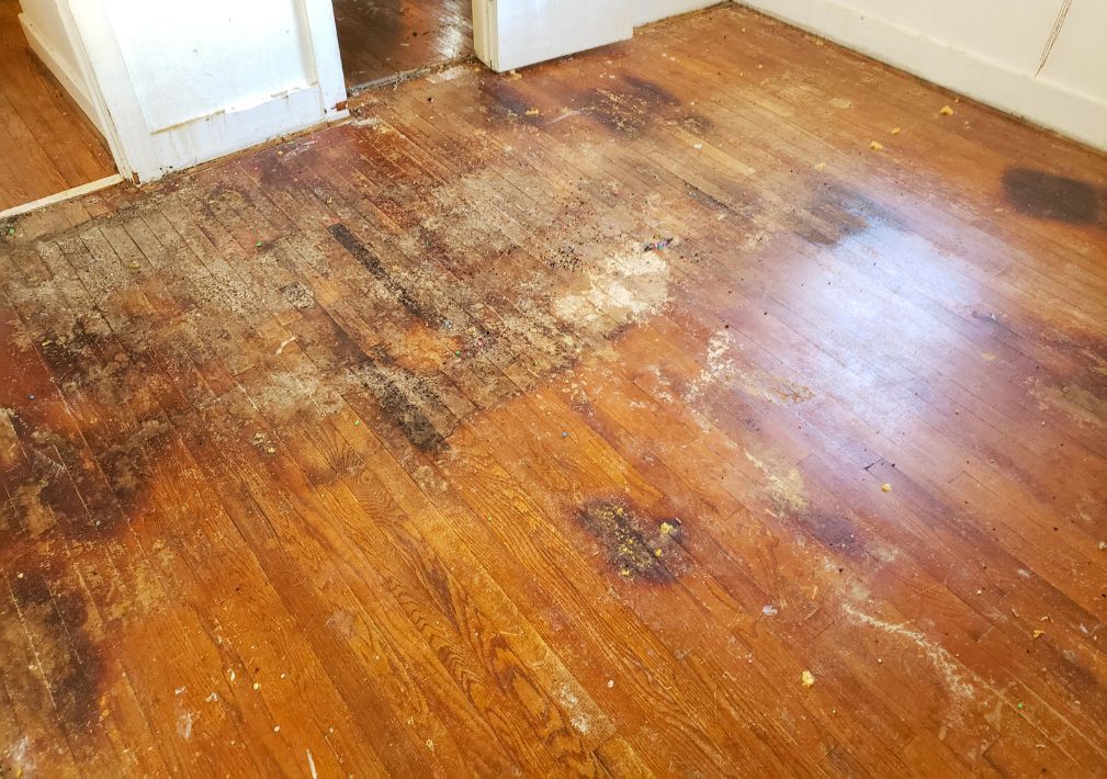 What Is The Average Cost Of Water Damage Restoration In Summit Hill Pa