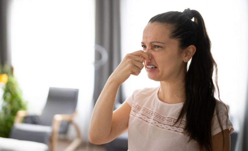 What Is The Average Cost Of Odor Removal In Hellertown Pa