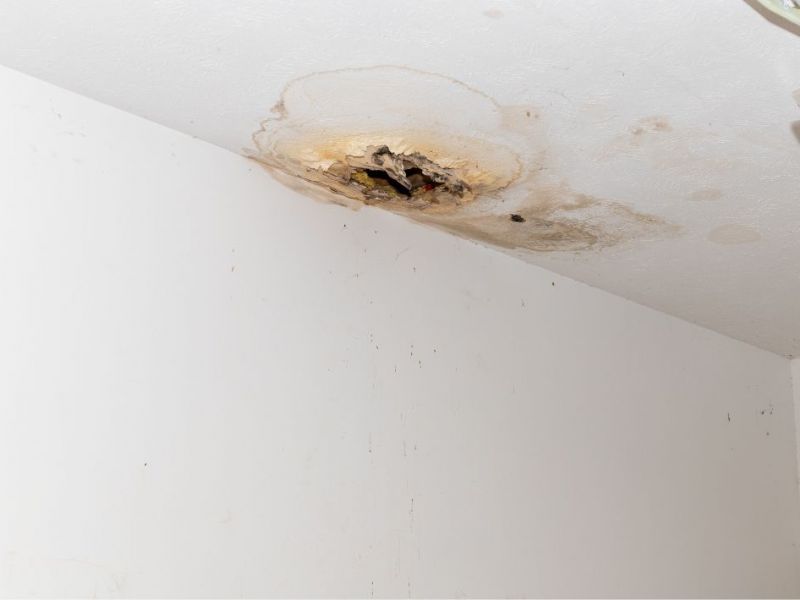 What Is The Average Cost Of Mold Damage Restoration In La Grange Ky