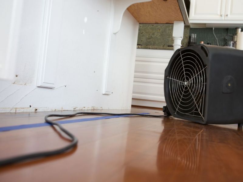 What Is The Average Cost Of Water Damage Restoration In Evansville