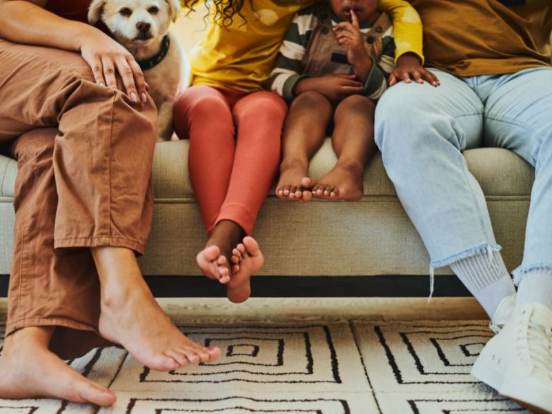 What Is The Average Cost Of Odor Removal In Waunakee Wi