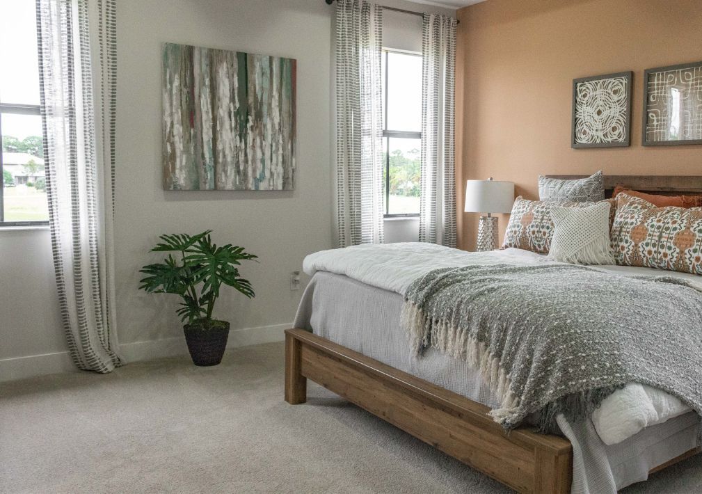 What Is The Average Cost Of Carpet Cleaning In Verona Wi