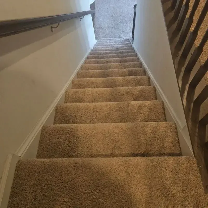 Stair Carpet Cleaning In Charles Town Wv