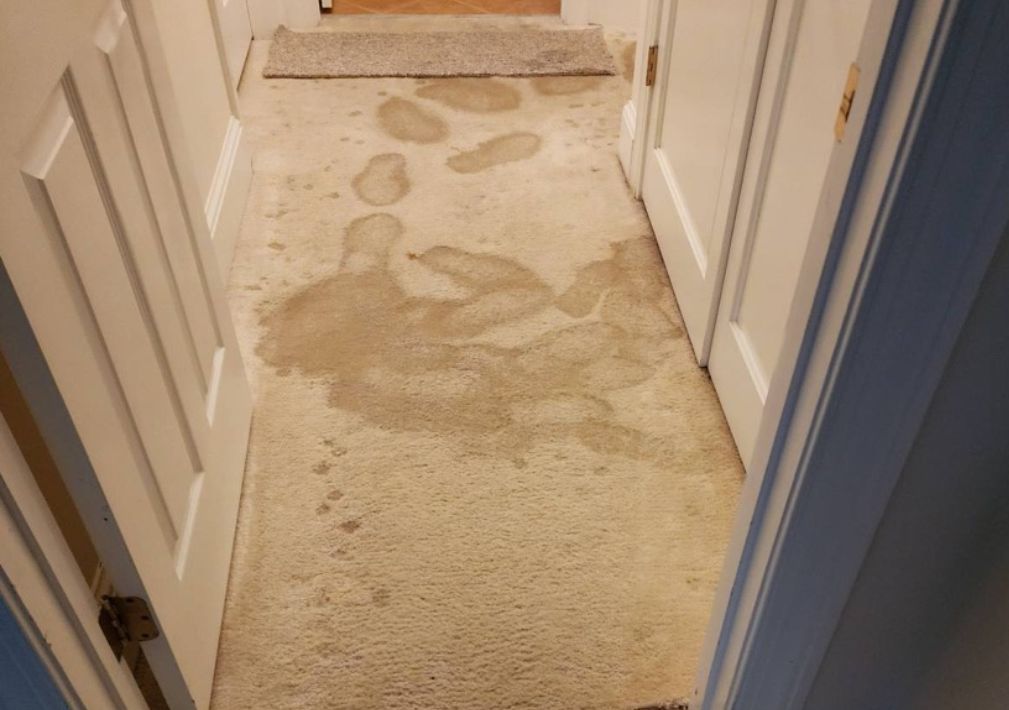 What Is The Average Cost Of Water Damage Restoration In Inwood Wv