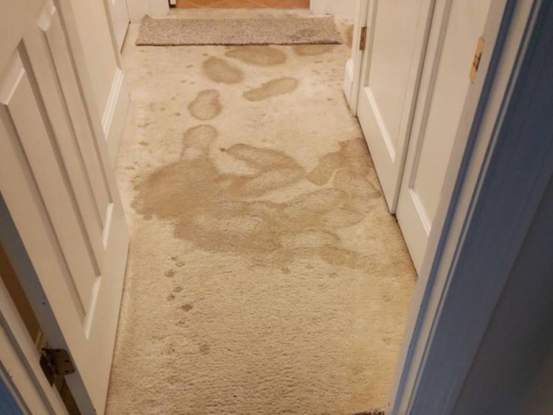 What Is The Average Cost Of Water Damage Restoration In Inwood Wv
