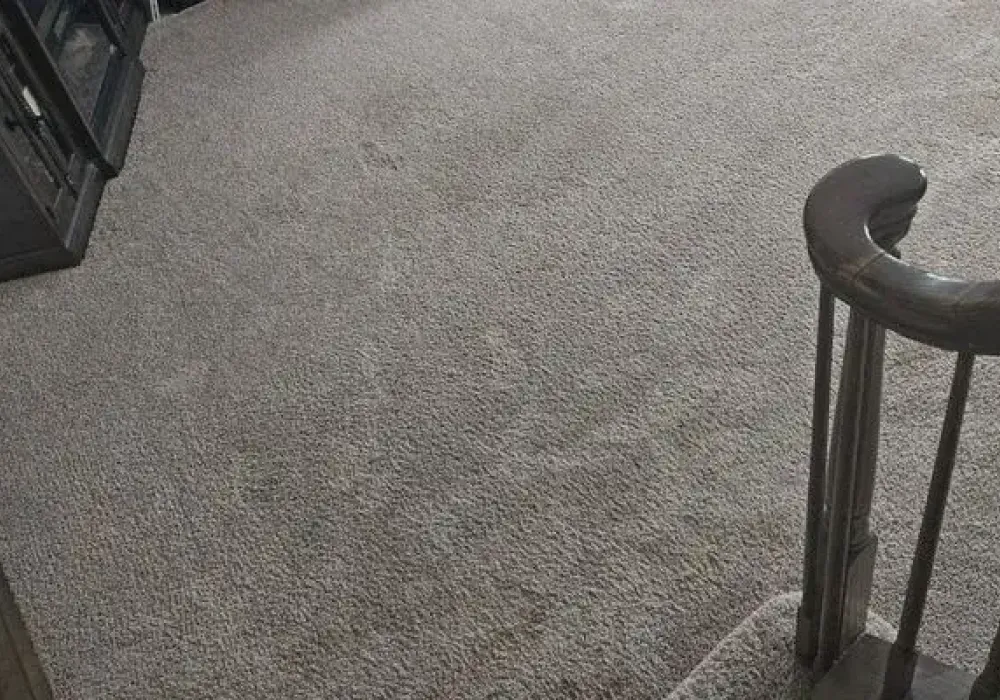Carpet Duct Cleaning Charles Town Case Study