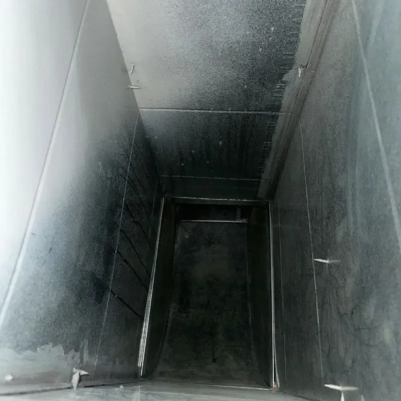 Carpet Cleaning Gallery 17