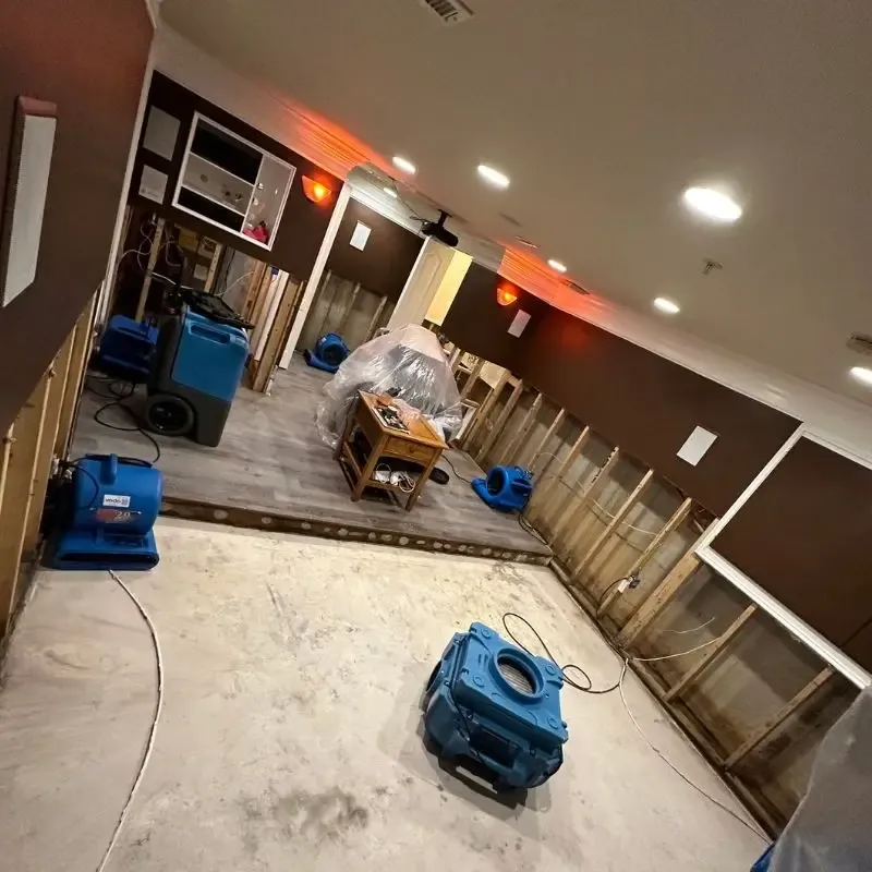 Carpet Cleaning Gallery 19