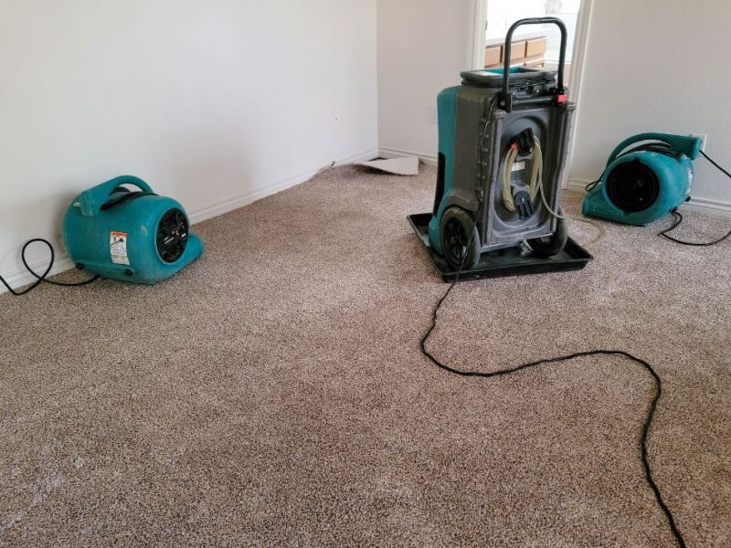 What Is The Average Cost Of Water Damage Restoration In Orlando Fl