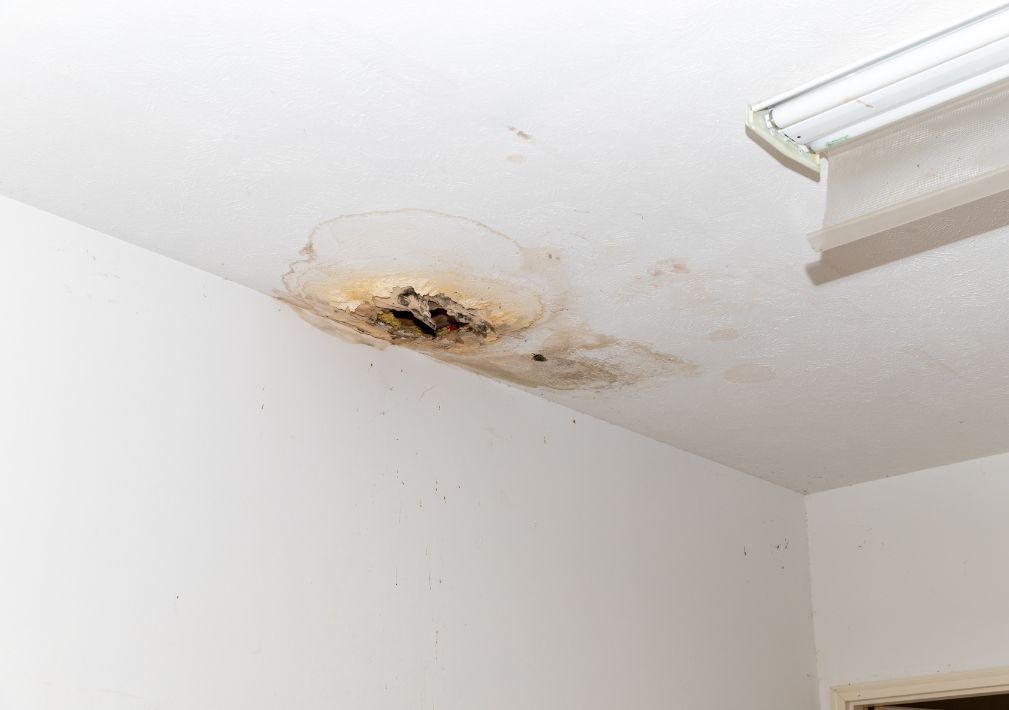 What Is The Average Cost Of Mold Restoration In Johns Creek Ga