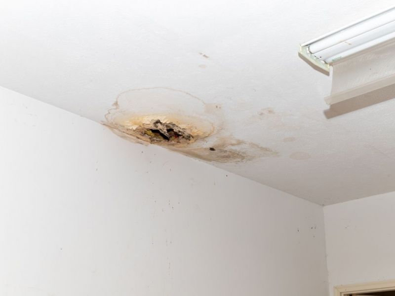 What Is The Average Cost Of Mold Restoration In Johns Creek Ga