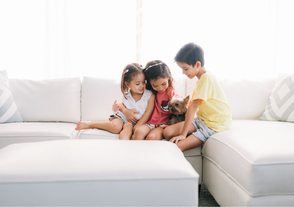 What Is The Average Cost Of Odor Removal In Orange City Fl
