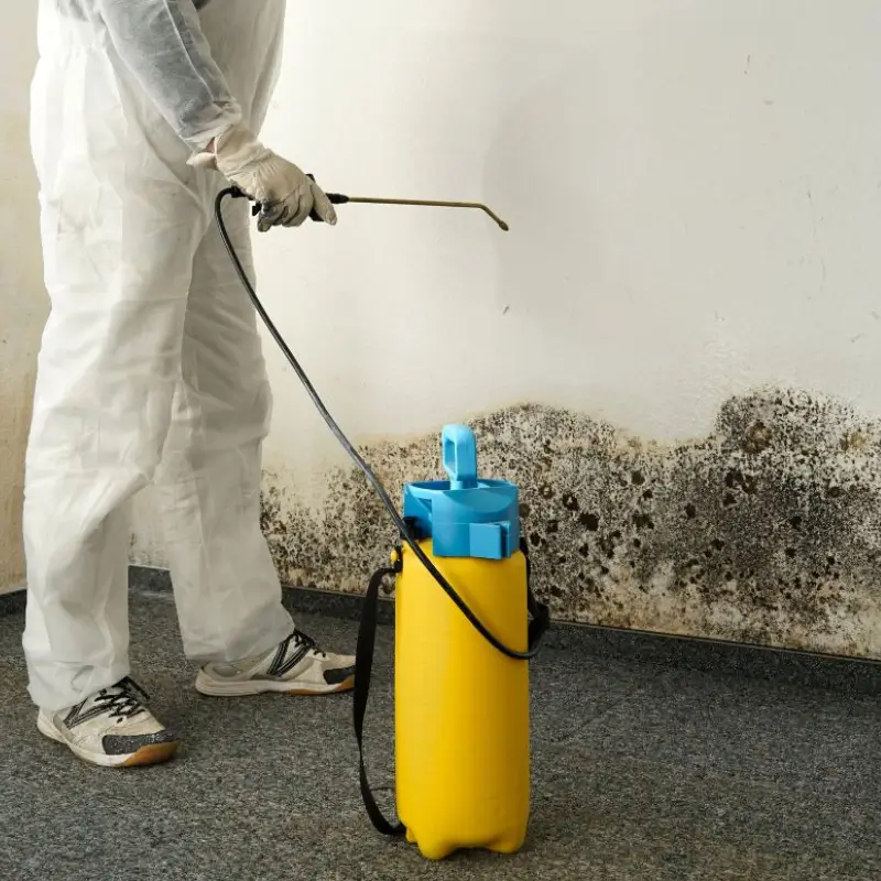 Professional Commercial Mold Remediation Service In Deltona, FL