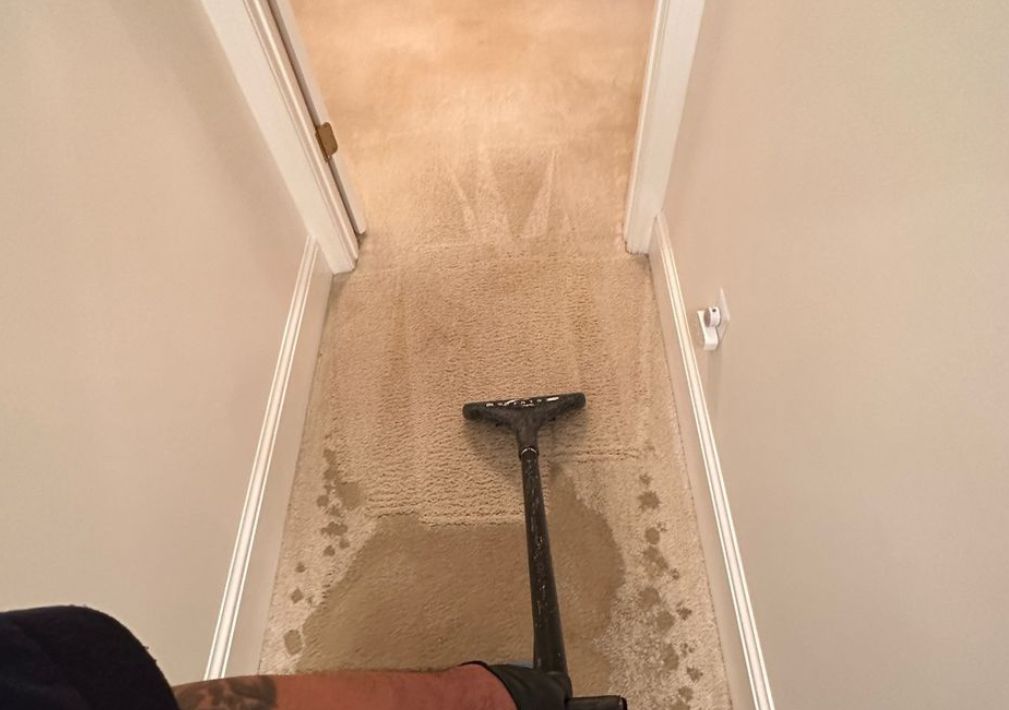 What Is The Average Cost Of Water Damage Restoration In Apopka