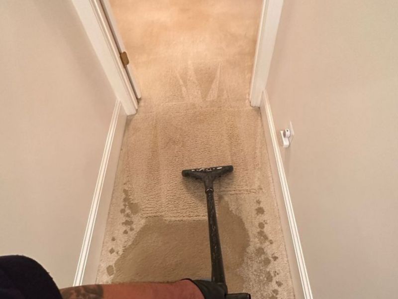 What Is The Average Cost Of Water Damage Restoration In Apopka